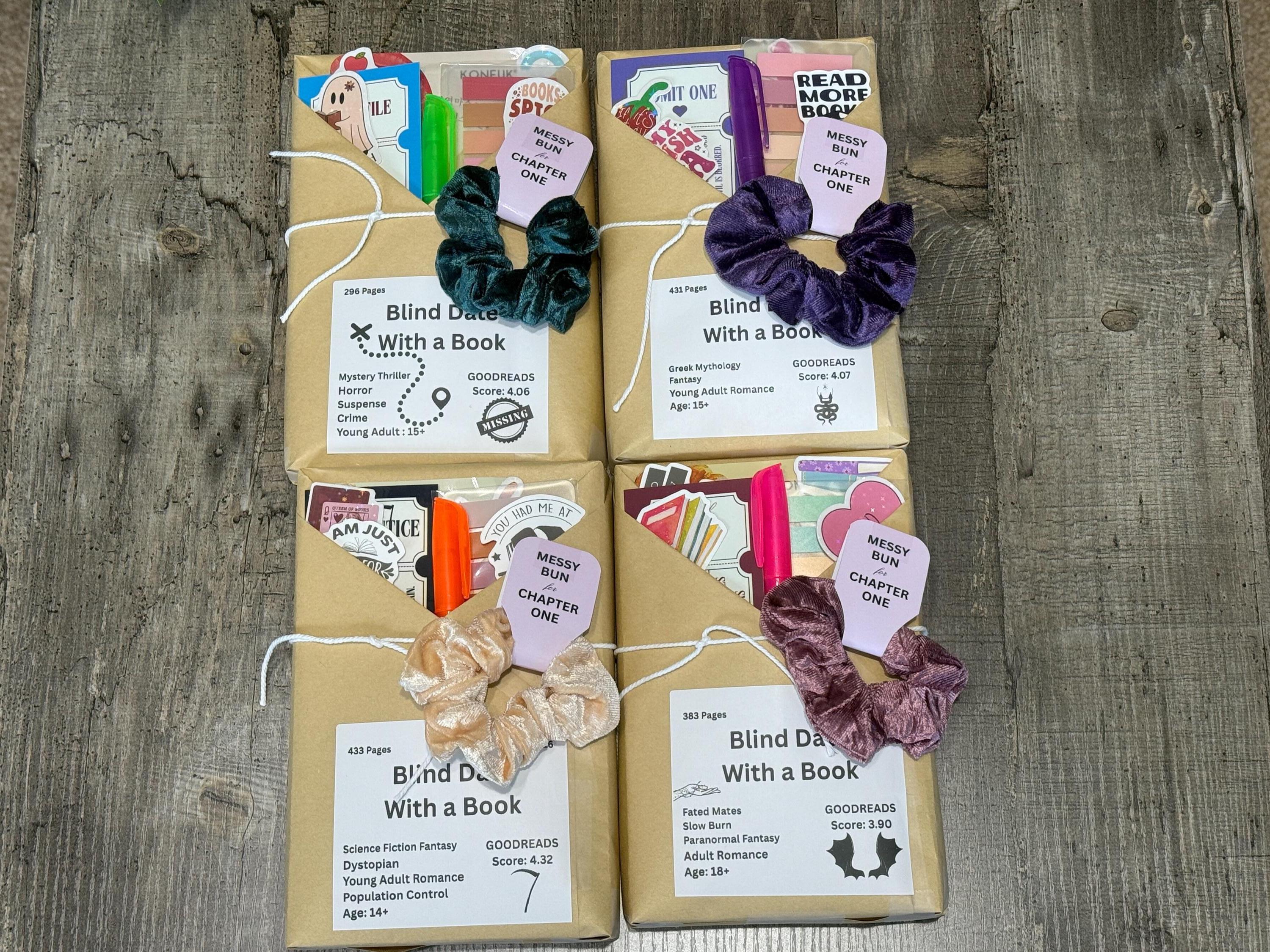 Blind Date With a Book | Surprise Wrapped Book Gift Set with Scrunchie, Stickers & More - Multiple Options to Choose from!