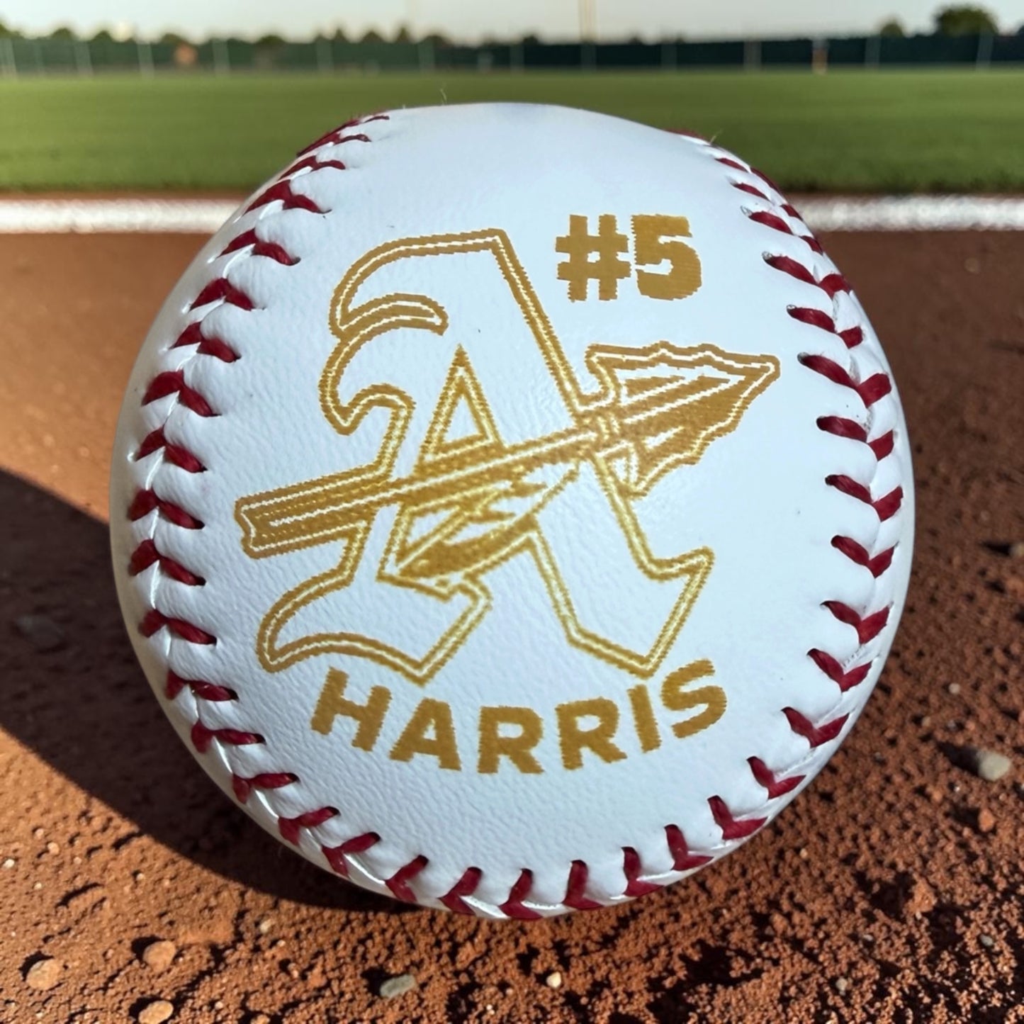 Personalized Engraved Baseball