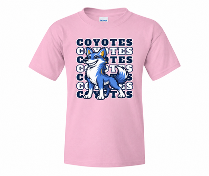 Crossroads Elementary Spirit Shirts – Youth