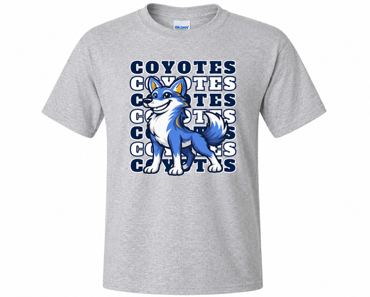 Crossroads Elementary Spirit Shirts – Youth