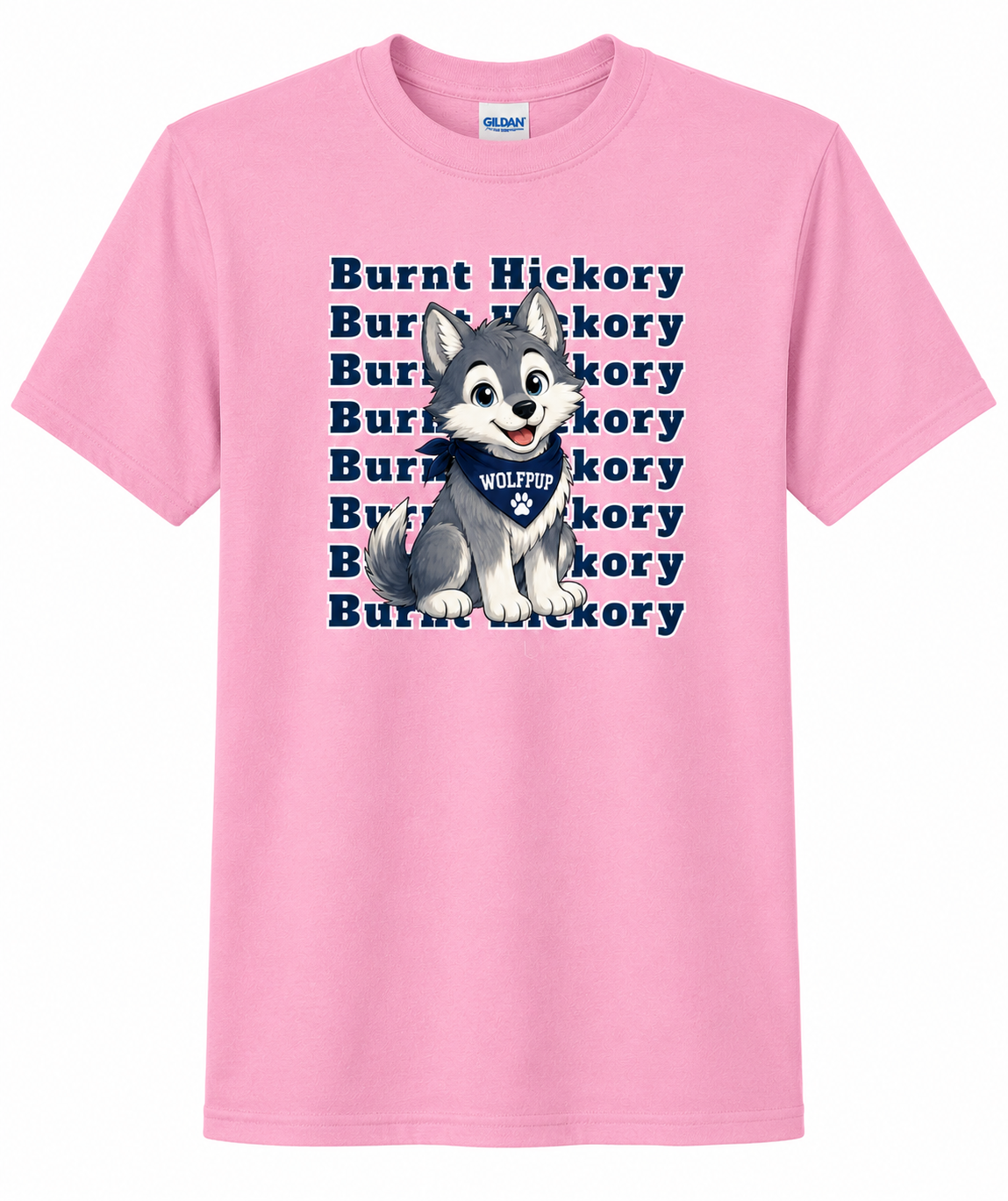 Burnt Hickory Elementary Spirit Shirts – Youth