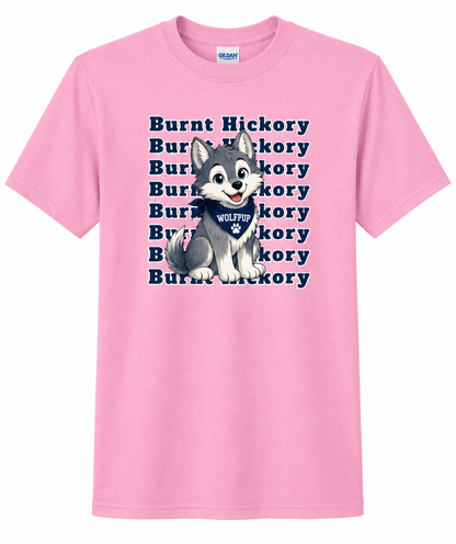 Burnt Hickory Elementary Spirit Shirts – Youth
