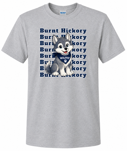 Burnt Hickory Elementary Spirit Shirts – Youth
