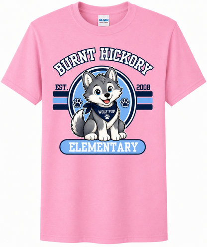Burnt Hickory Elementary Spirit Shirts – Youth