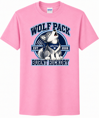 Burnt Hickory Elementary Spirit Shirts – Youth