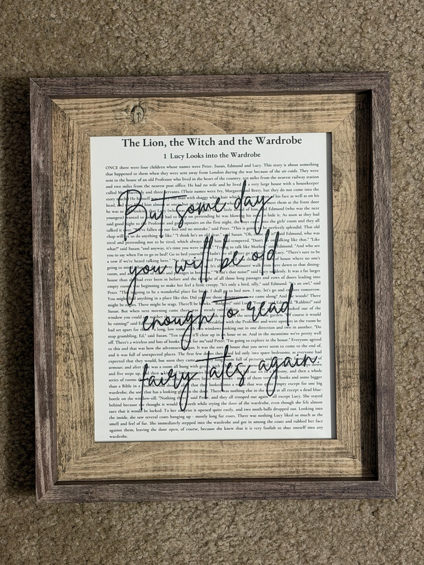 Bookish Frame | The Lion, the Witch and the Wardrobe
