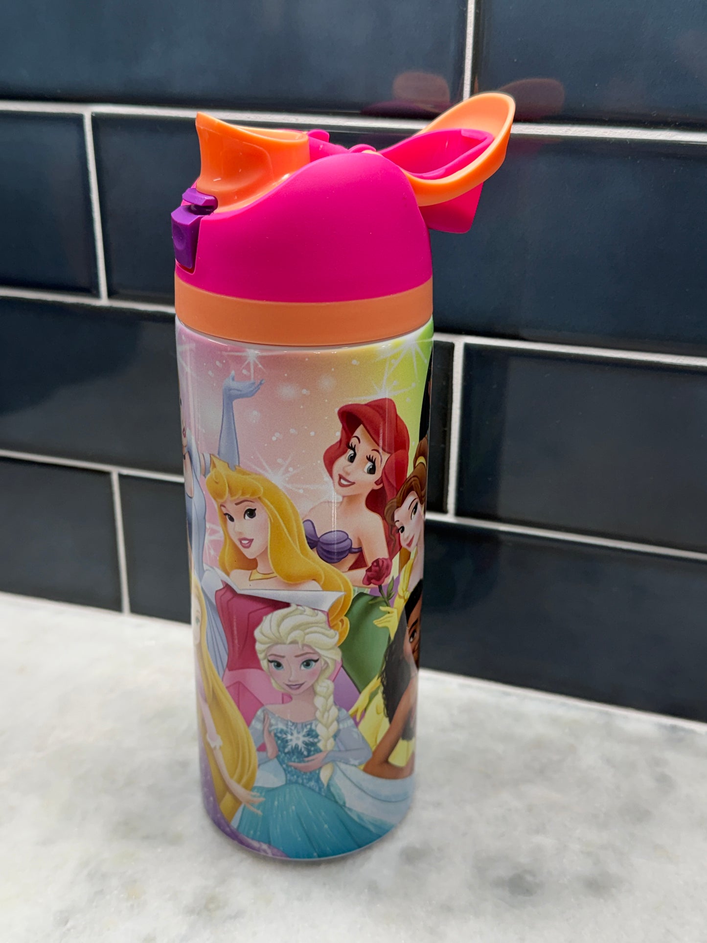 Disney Princess 24oz Owala Style Tumbler