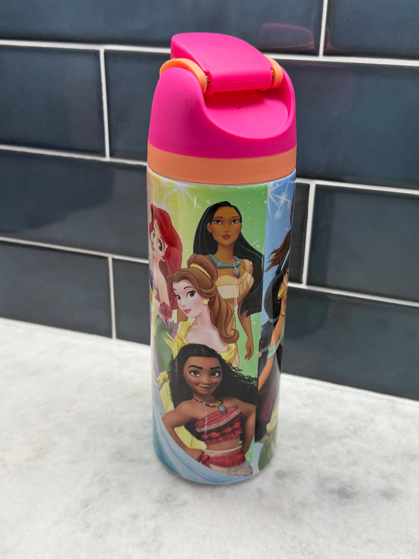 Disney Princess 24oz Owala Style Tumbler