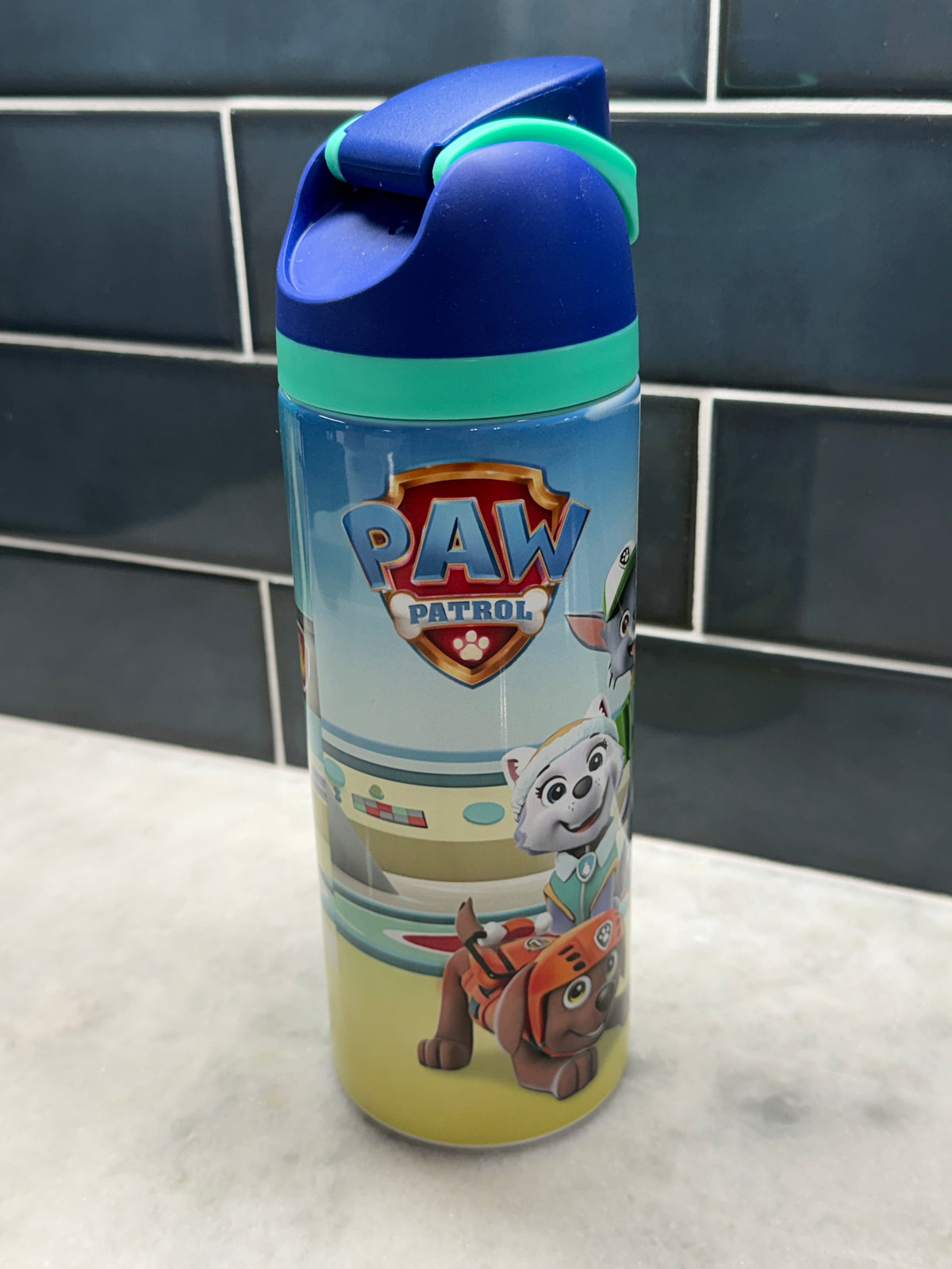 Paw Patrol Owala Style Tumbler