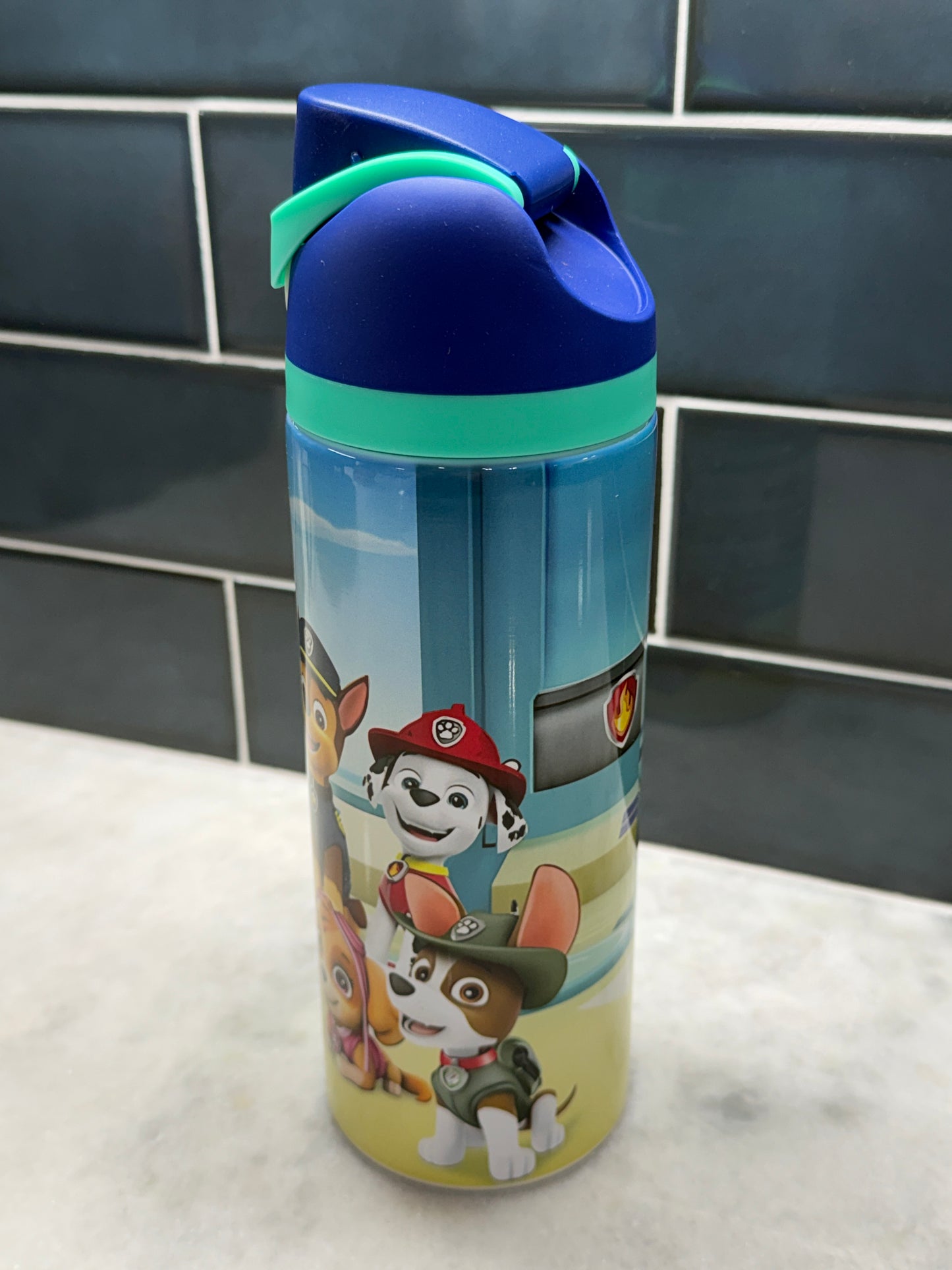 Paw Patrol Owala Style Tumbler