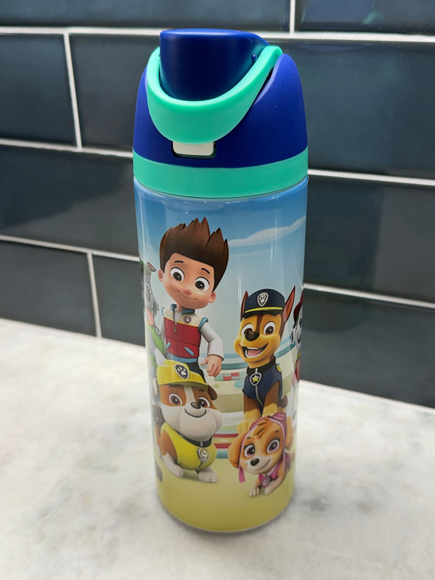 Paw Patrol Owala Style Tumbler