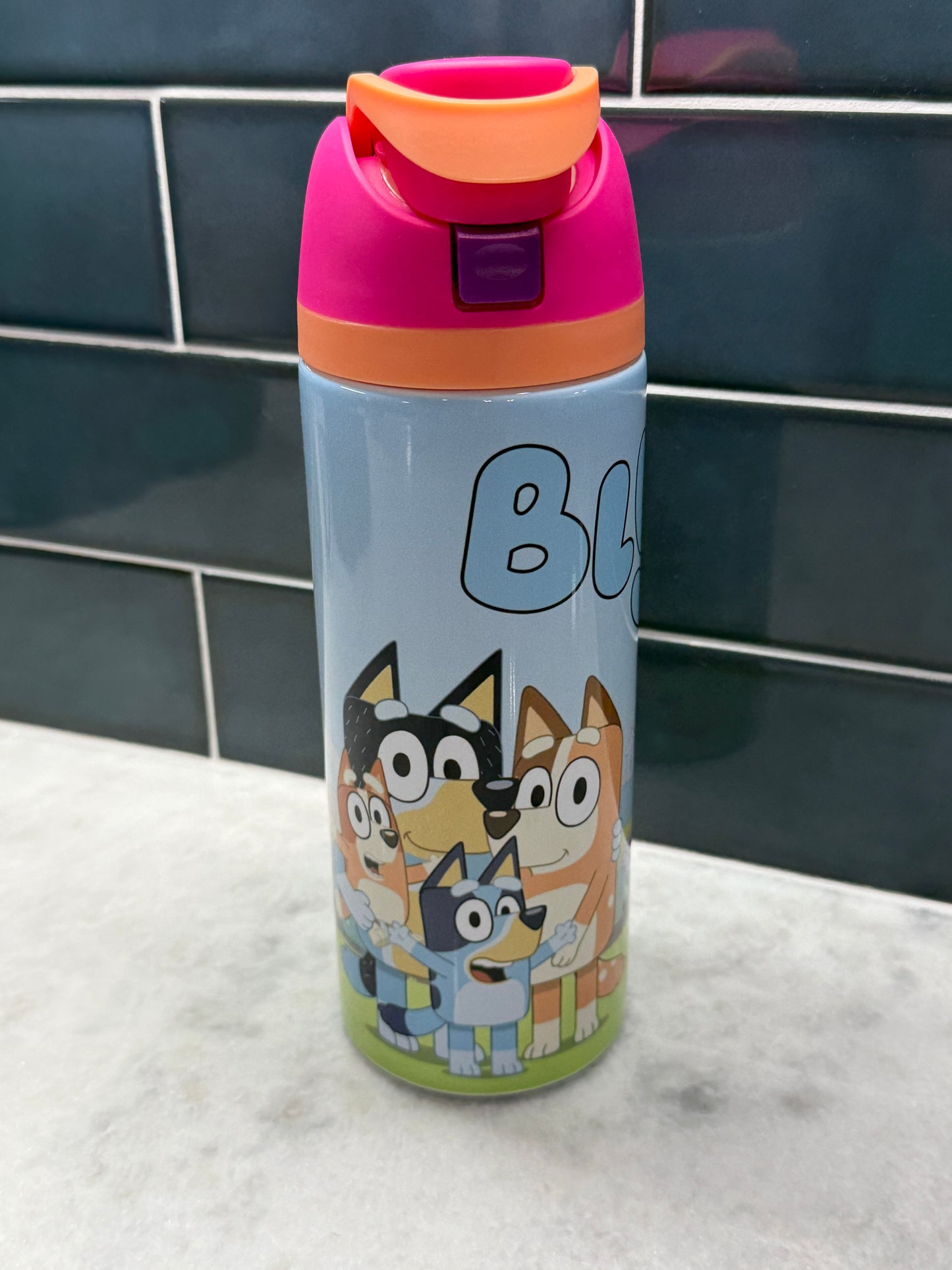 Bluey Pink 24oz Owala Style Tumbler