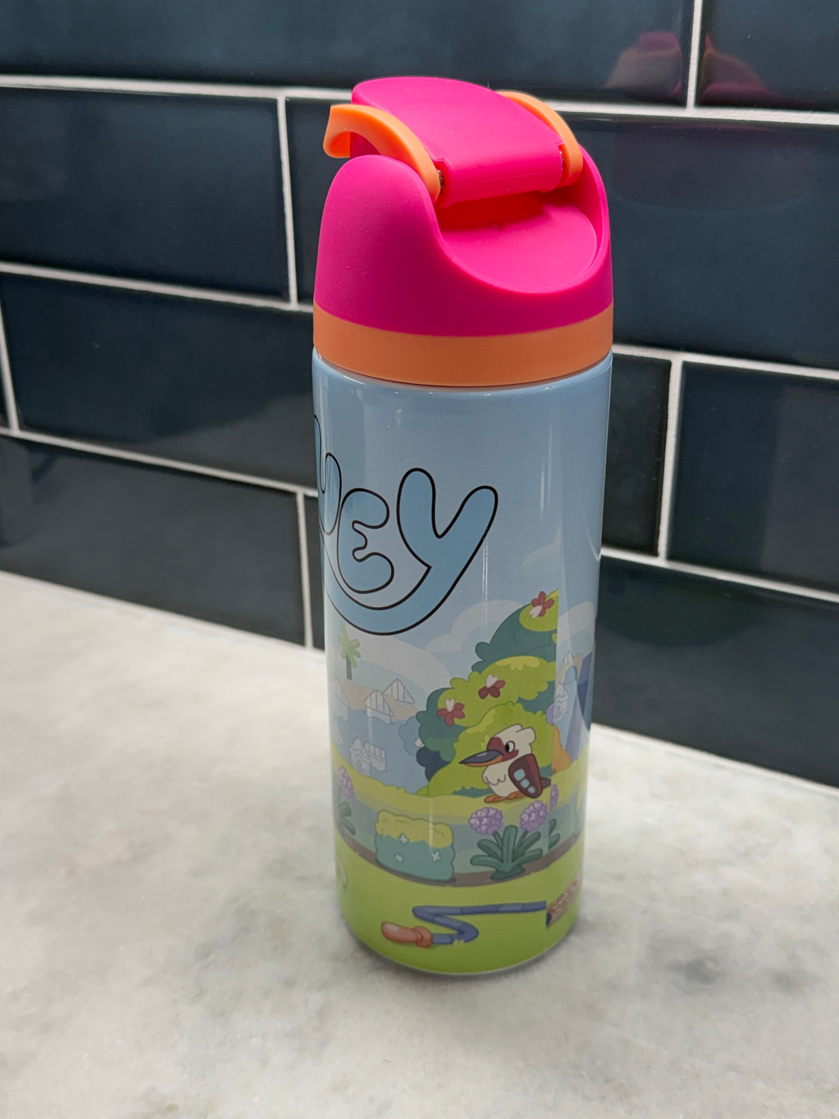 Bluey Pink 24oz Owala Style Tumbler