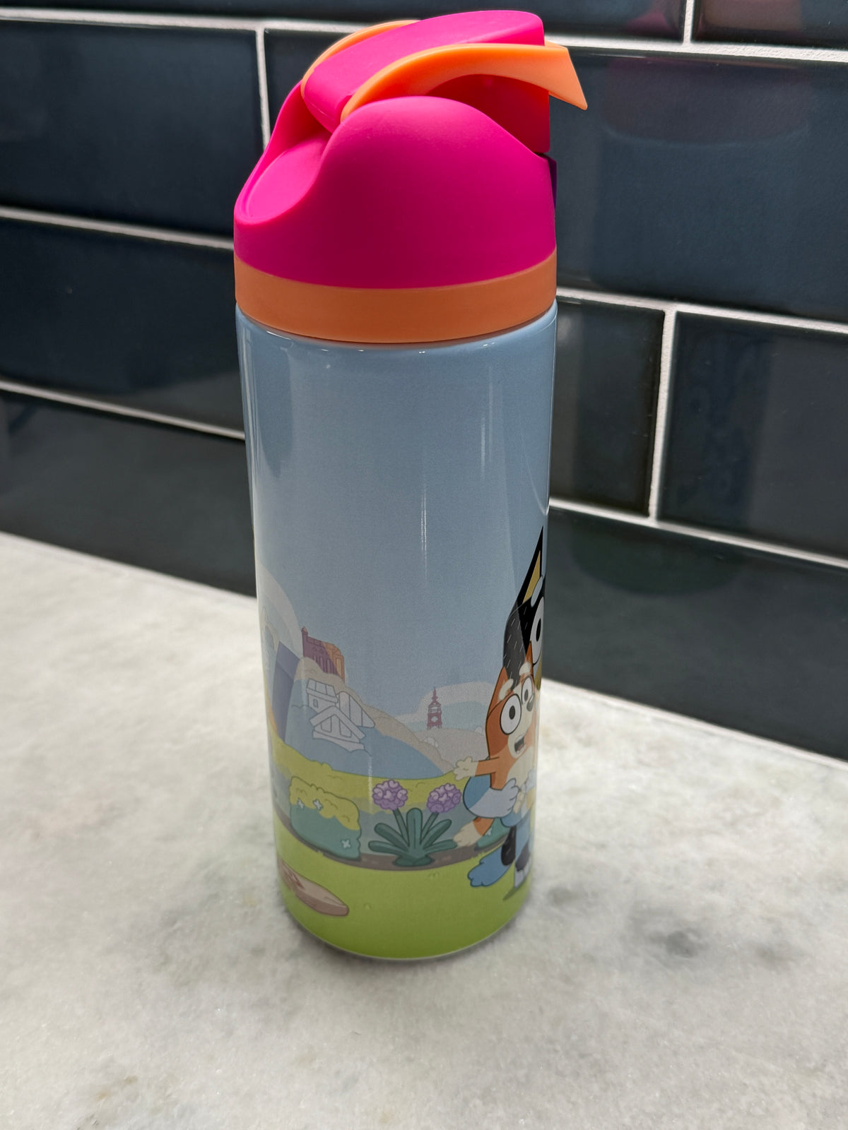 Bluey Pink 24oz Owala Style Tumbler