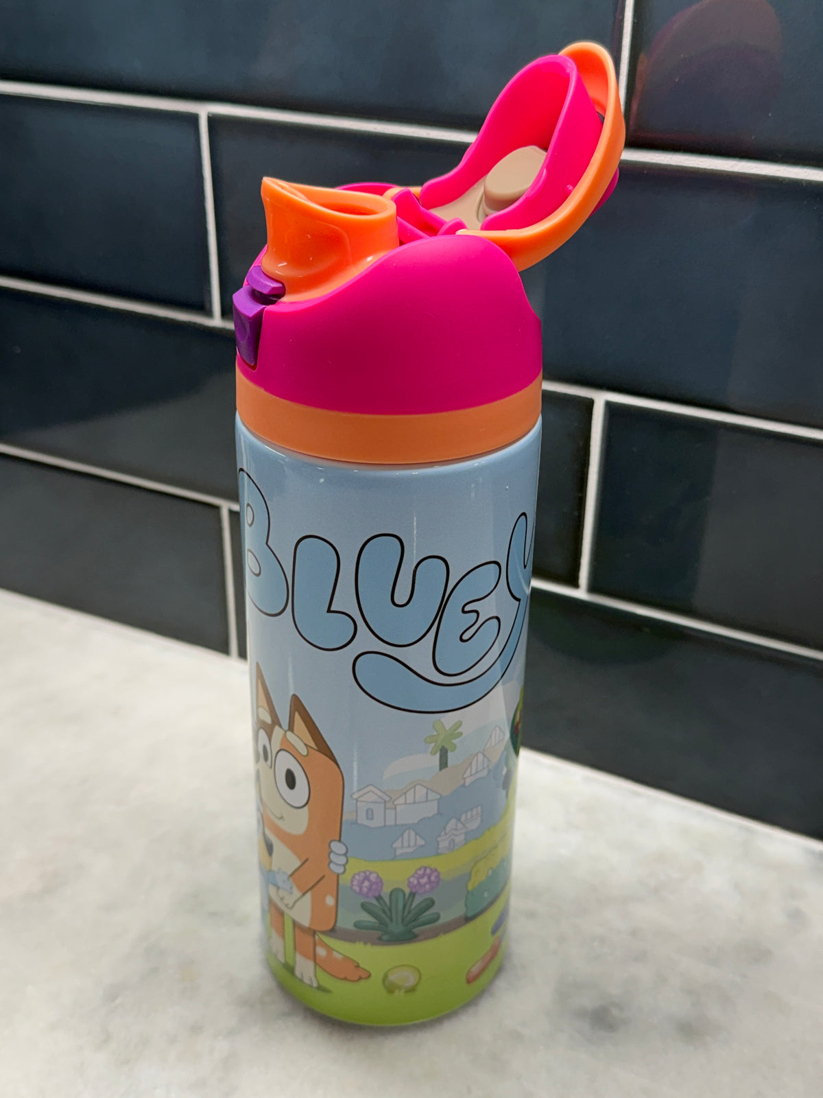Bluey Pink 24oz Owala Style Tumbler