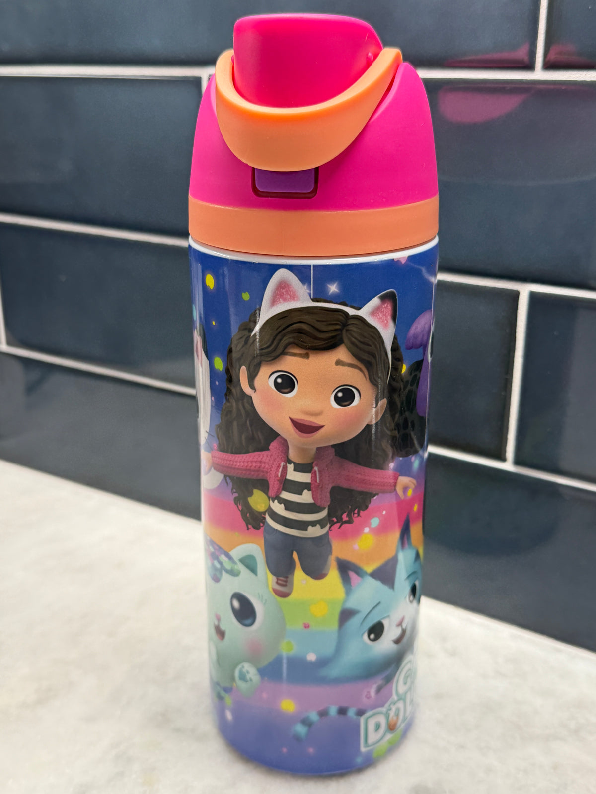 Gabby's Dollhouse 24oz Owala Style Tumbler