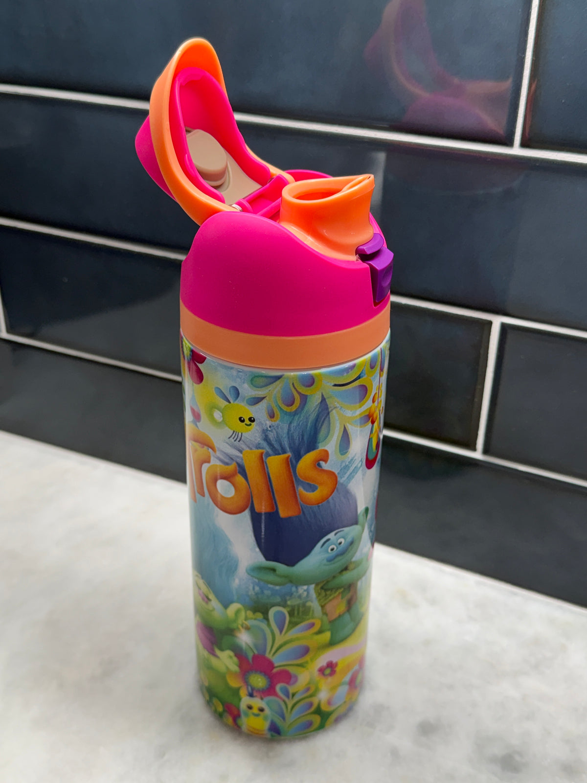 Trolls 24oz Owala Style Tumbler