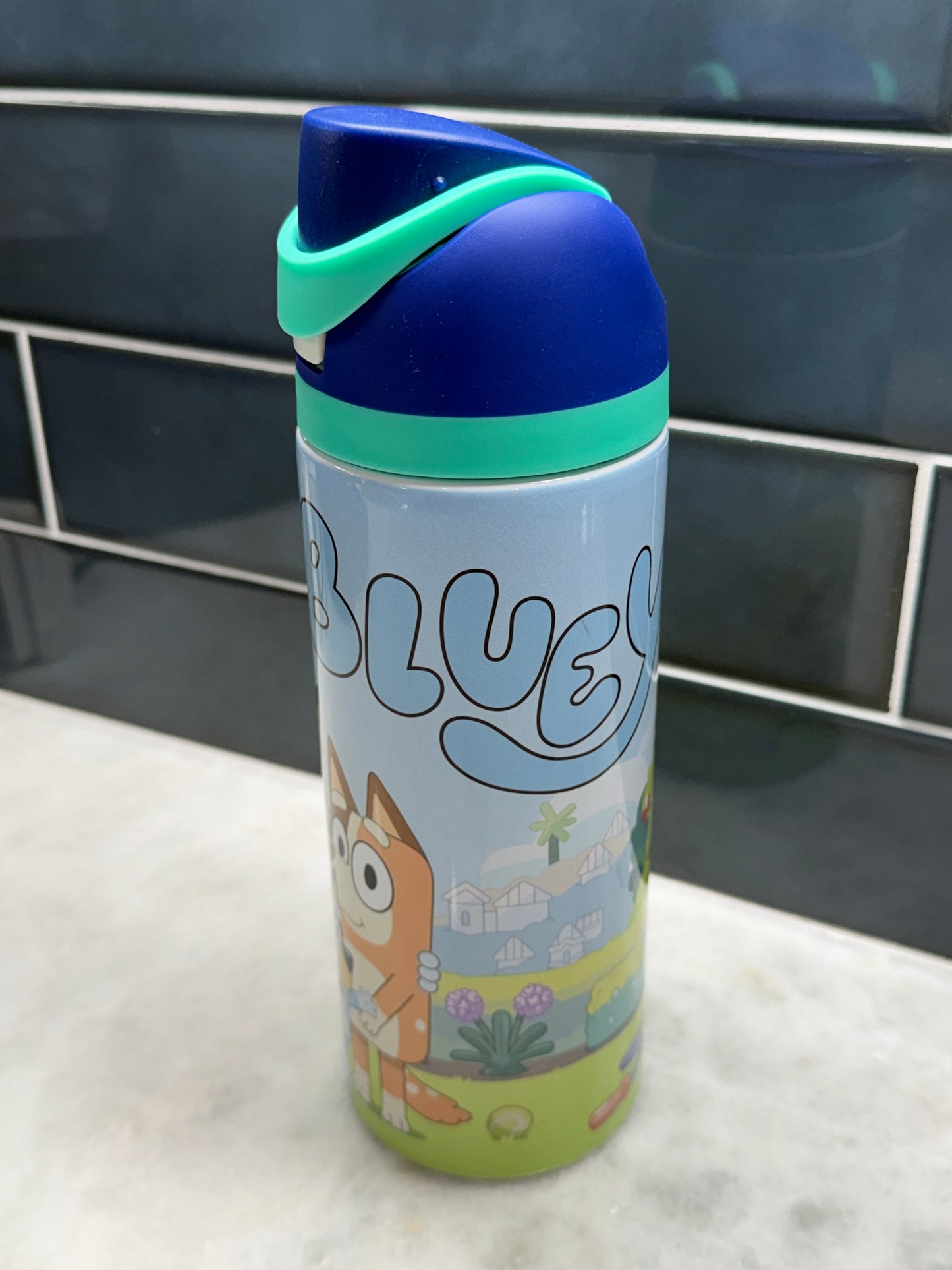 Bluey 24oz Owala Style Tumbler