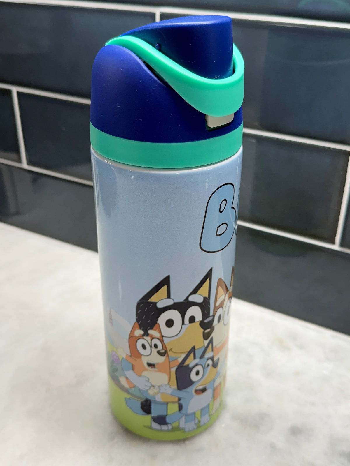Bluey 24oz Owala Style Tumbler