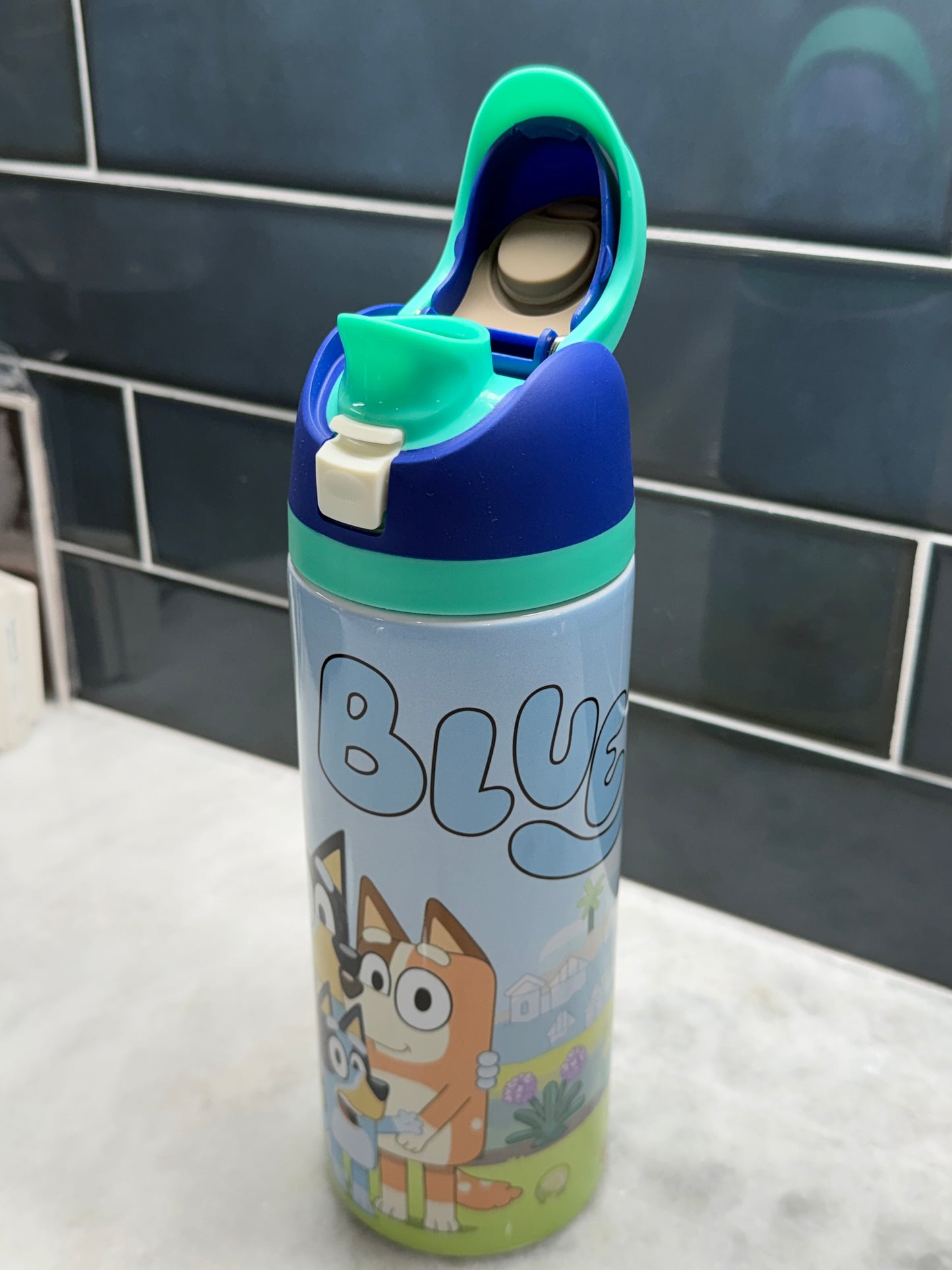 Bluey 24oz Owala Style Tumbler